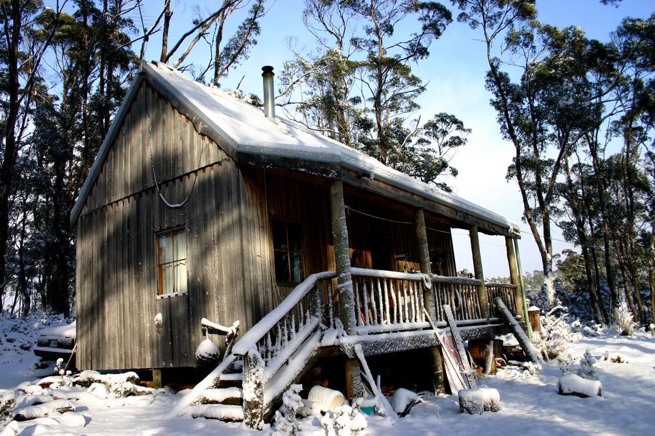 Villa Wombat Cabin Moina Exterior foto