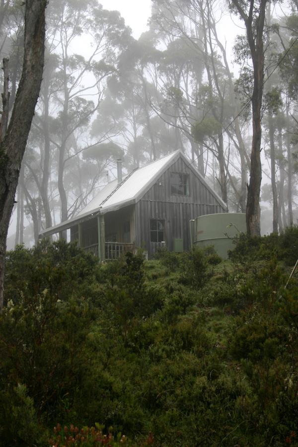 Villa Wombat Cabin Moina Exterior foto